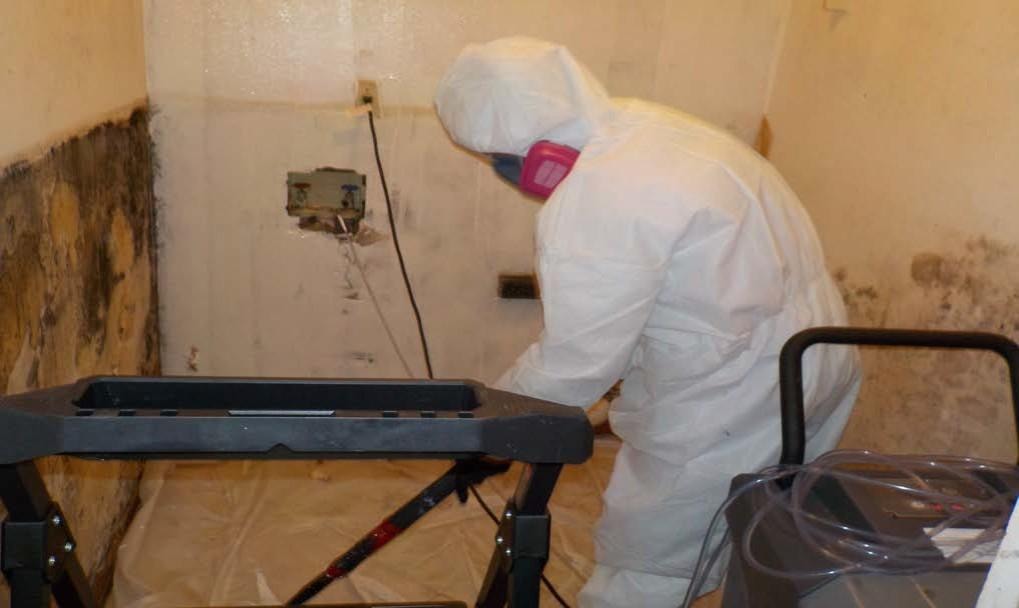 Sunspections mold remediation work in progress